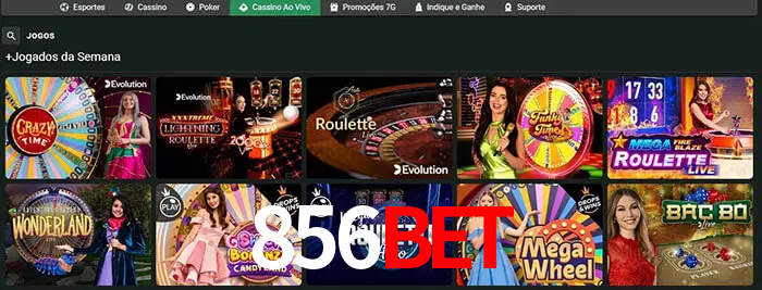 856bet bet