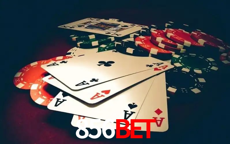 856bet Aplicativo - 856bet visual 2