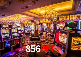 Descubra a Essência do 856bet: Nossa História e Compromissos